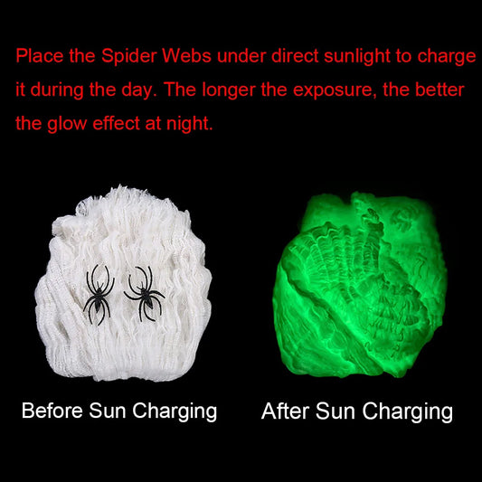 Luminous spider web glowing green