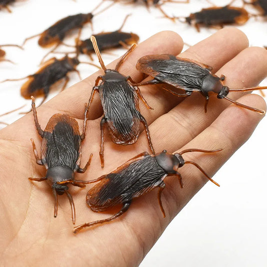 Fake cockroach close-up