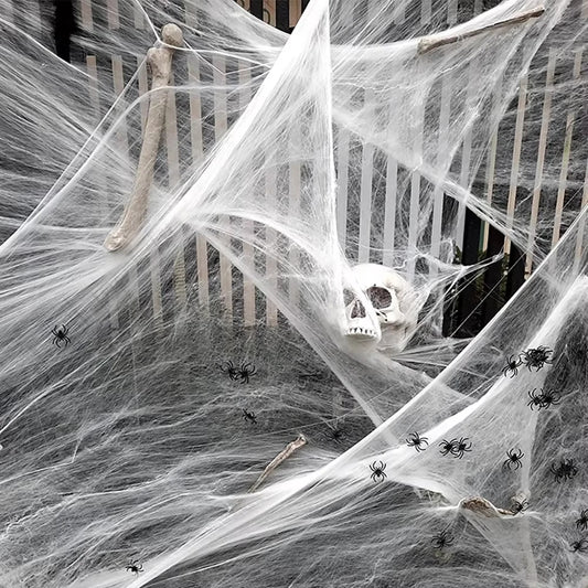 Spider web bag and spiders