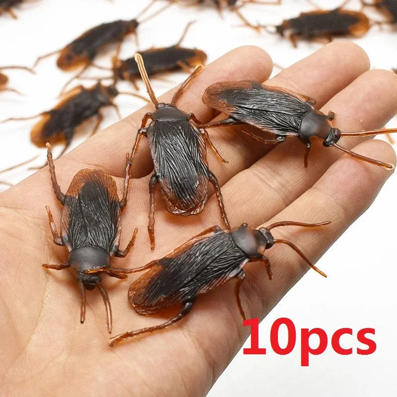 Cockroaches scattered for a prank