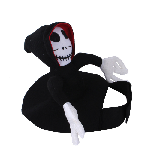 Ghoul Rider Pet Costume for Dogs and Cats