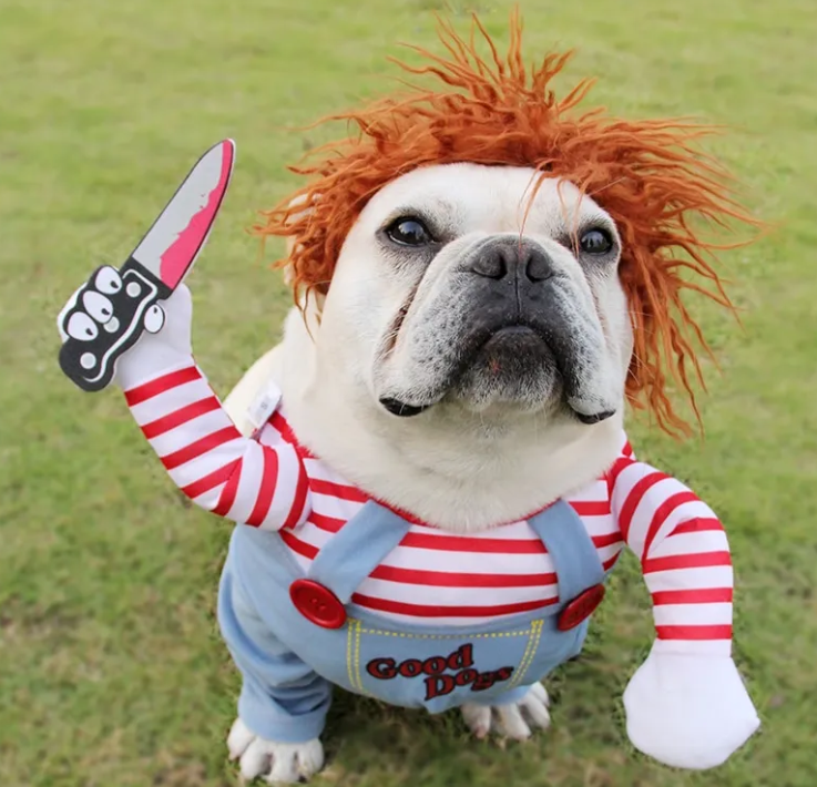 Killer Doll and Headless Horseman Dog Costume