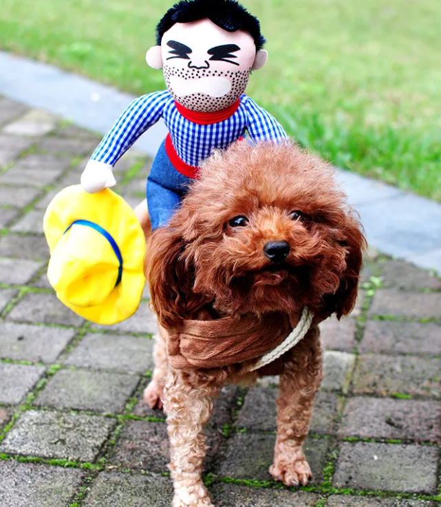 Killer Doll and Headless Horseman Dog Costume
