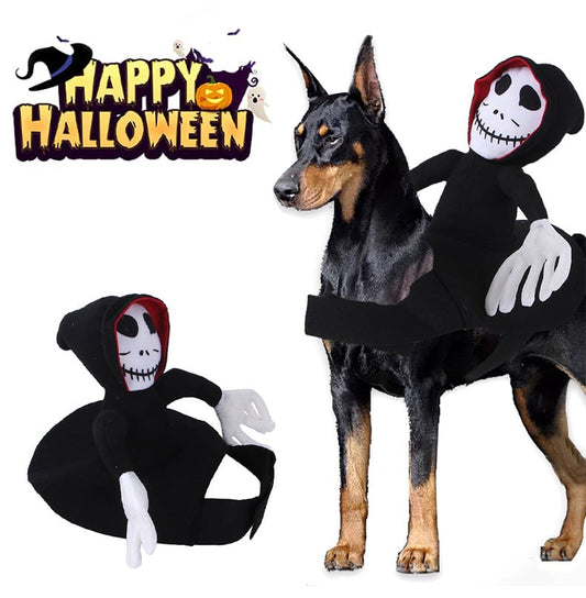 Ghoul Rider Pet Costume for Dogs and Cats