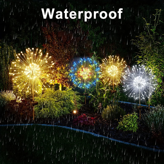 Firework light burst detail