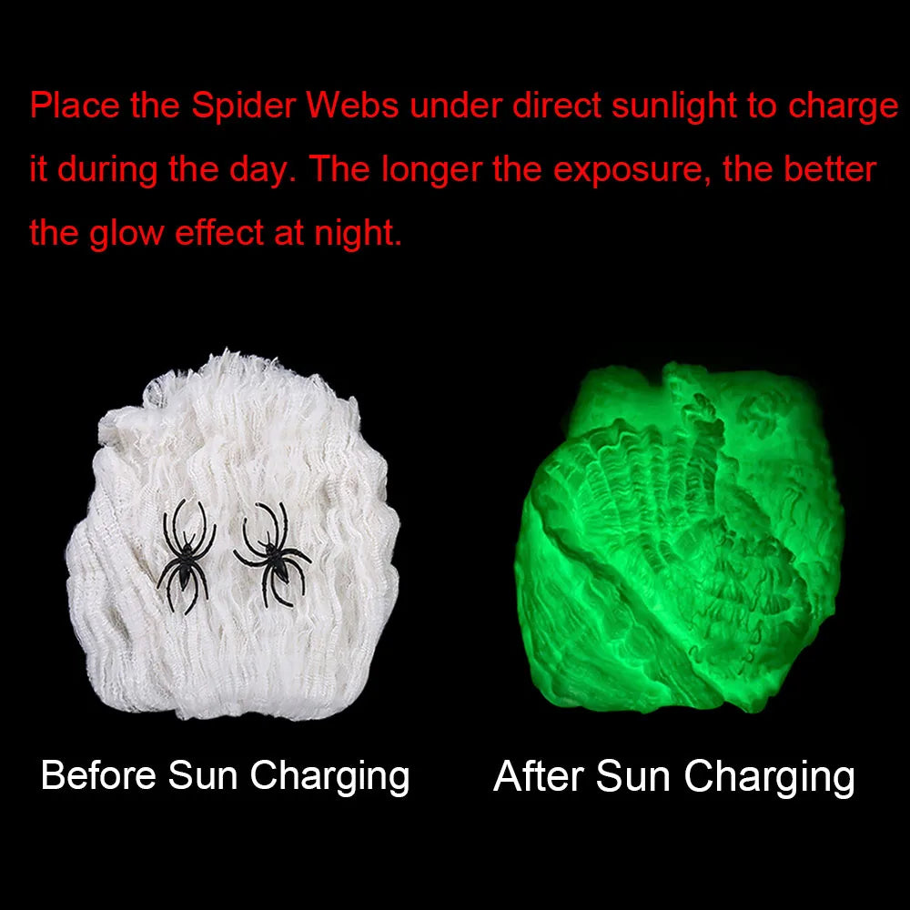 Luminous spider web glowing green