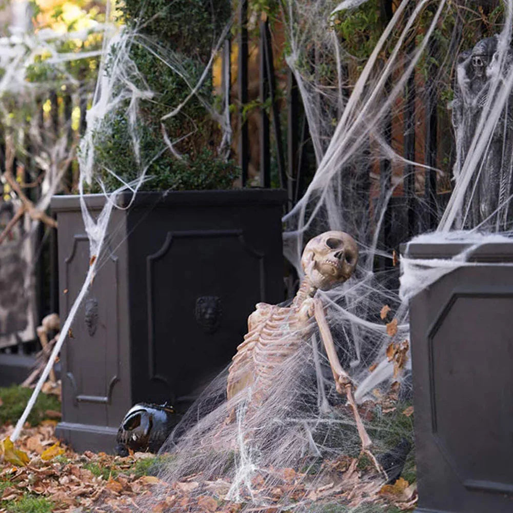 Web over a fence