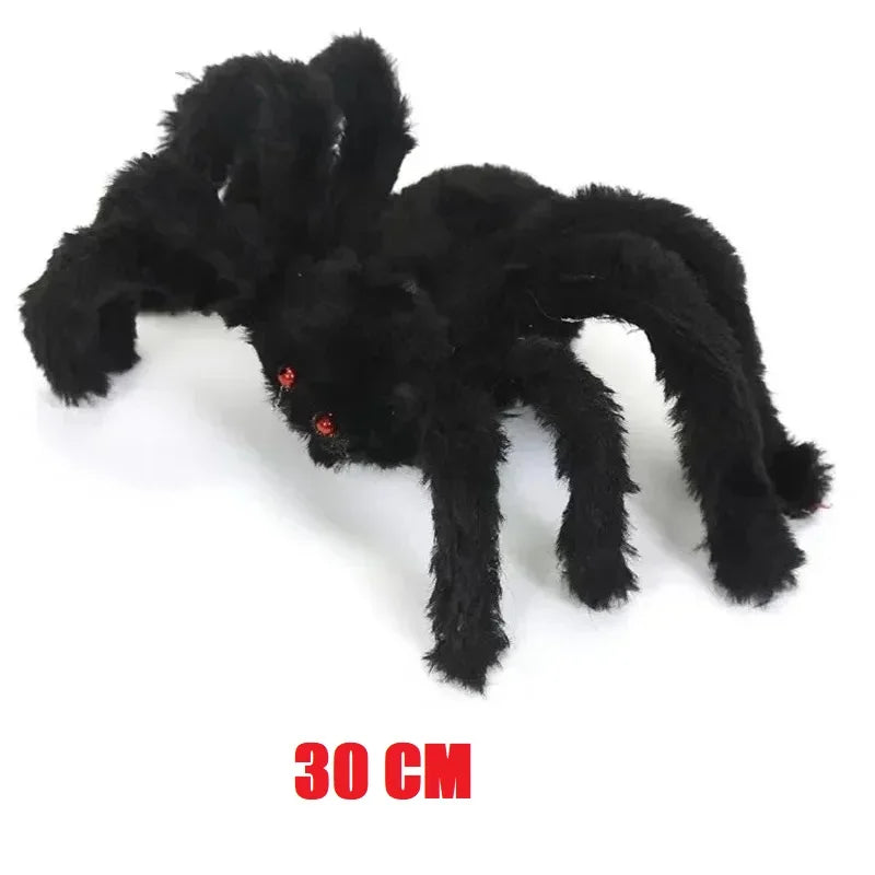 Spider in a doorway