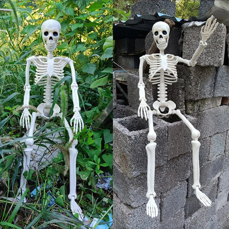 Posable plastic skeleton prop standing on a table
