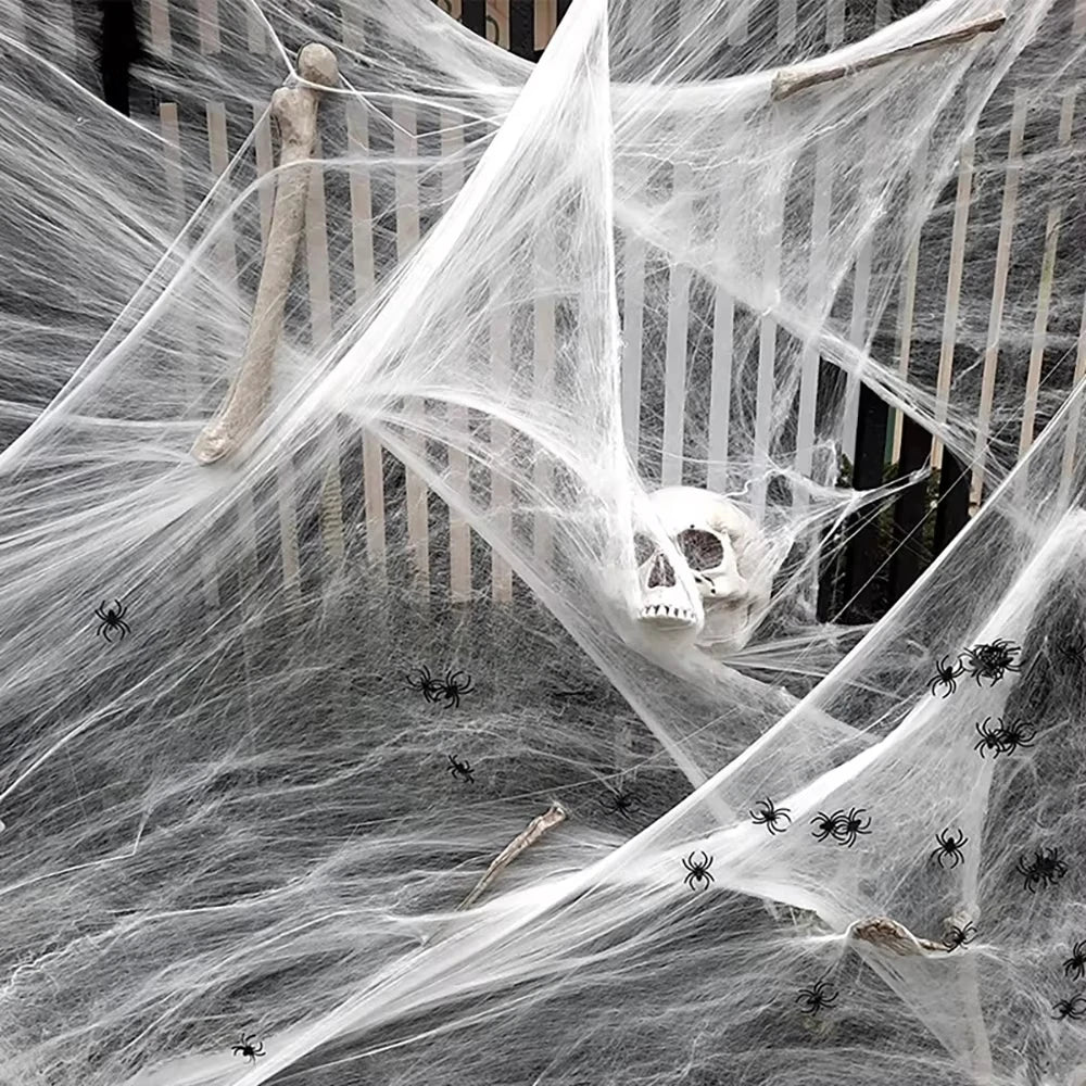 Spider web bag and spiders