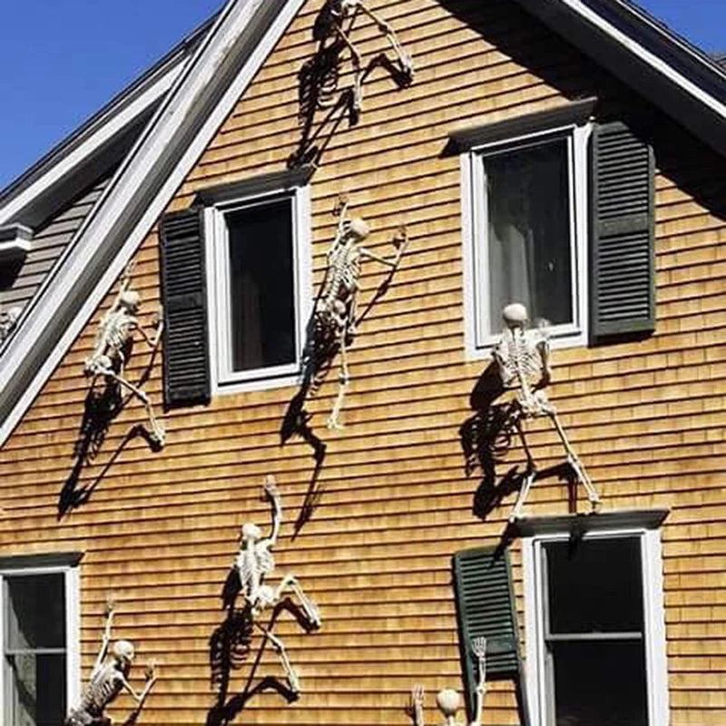 Skeleton in a haunted house scene