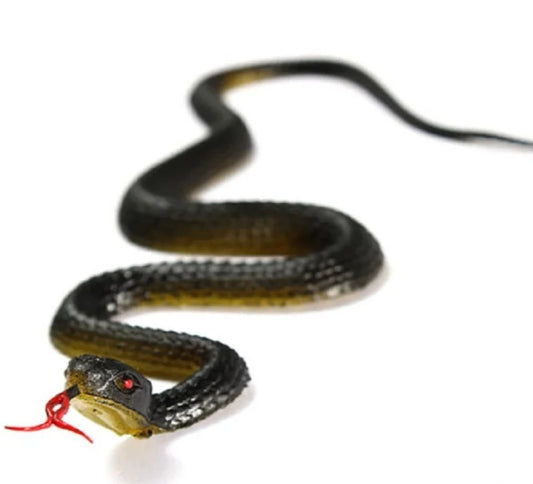 Realistic rubber snake coiled on a white background