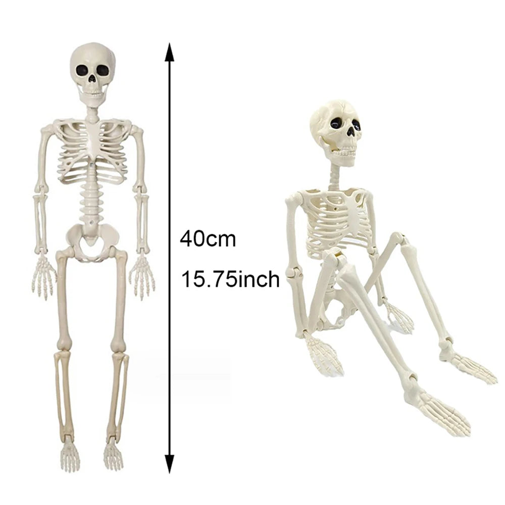 Skeleton in a window