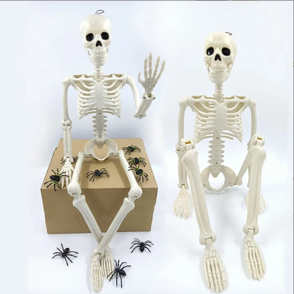 Skeleton posed sitting