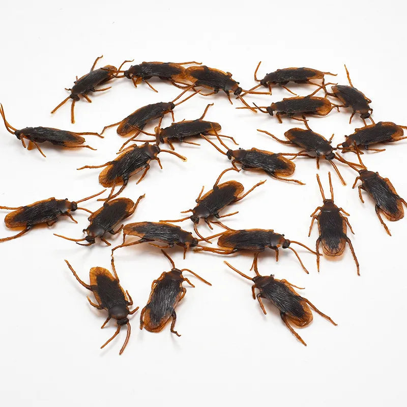Cockroaches on a kitchen counter