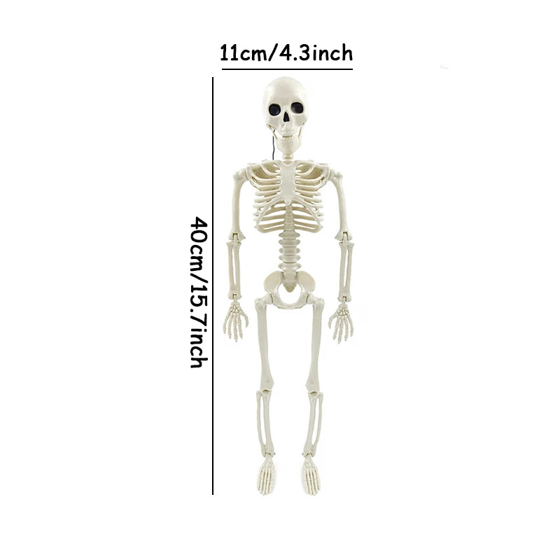 Skeleton posed sitting