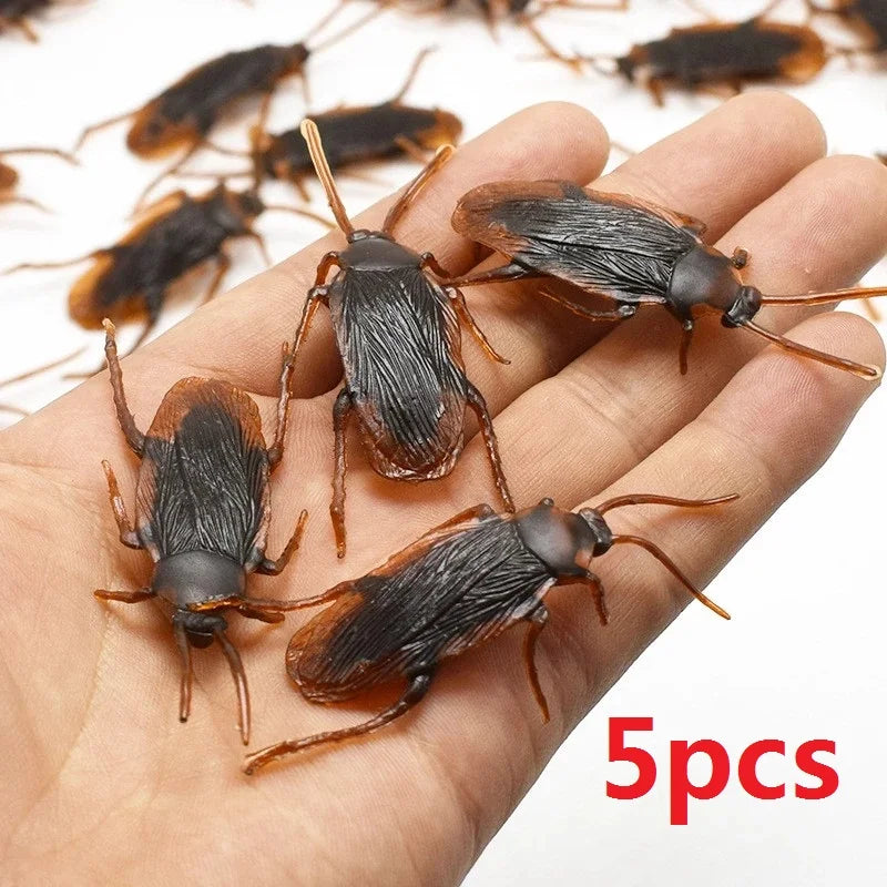 Cockroach size reference