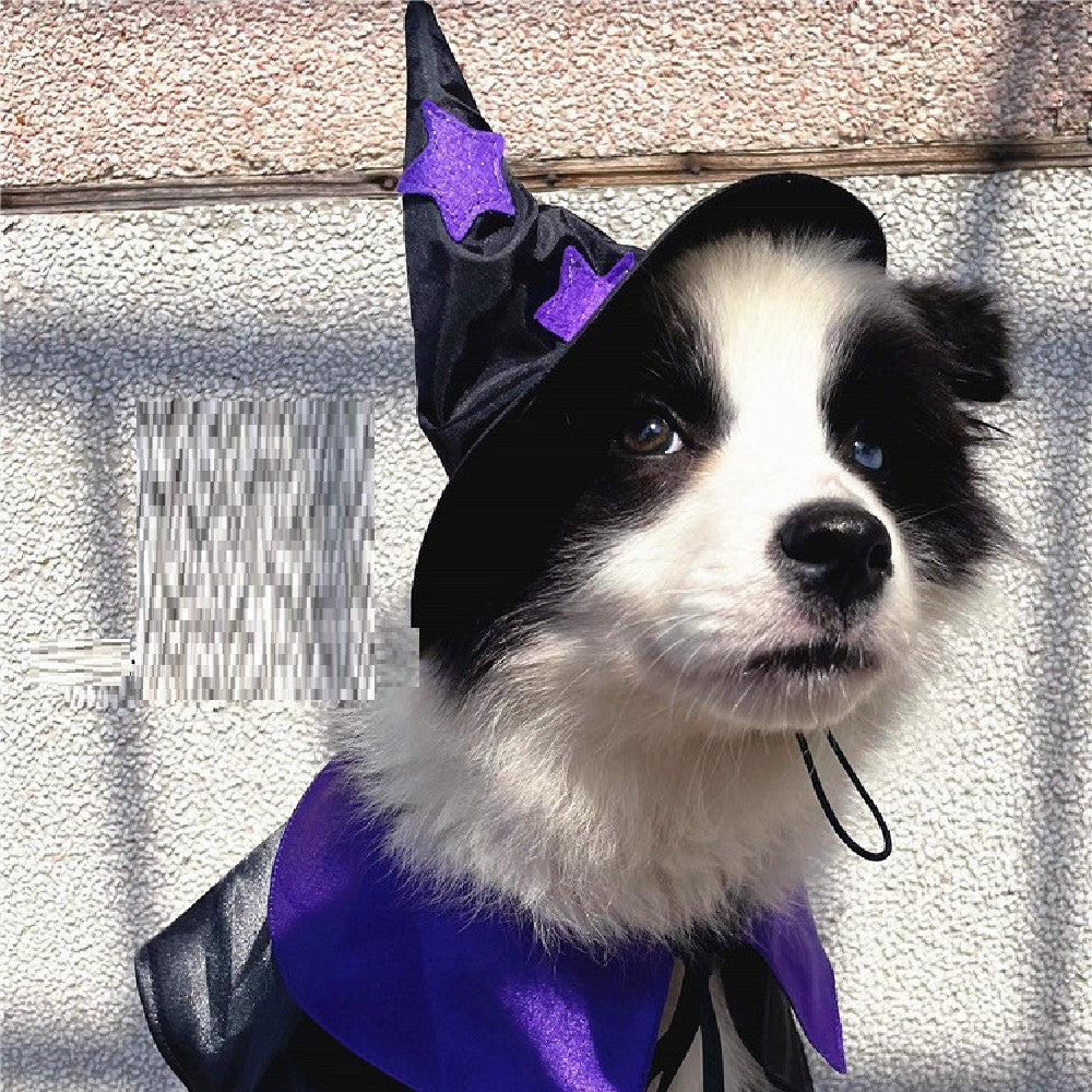 Pet Wizard Costume, Hat and Cape