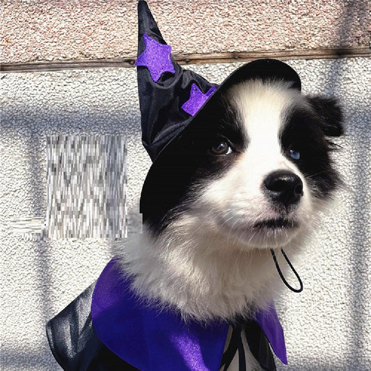 Pet Wizard Costume, Hat and Cape